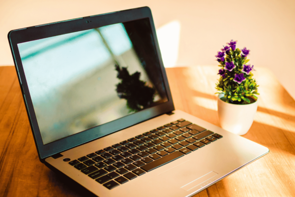 Top 5 Laptop Brands in 2023 A Comprehensive Guide